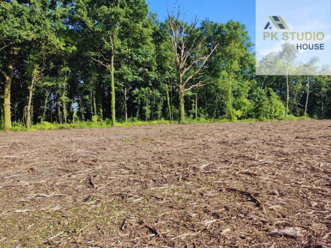 Działka Sprzedaż Dąbrowa 4