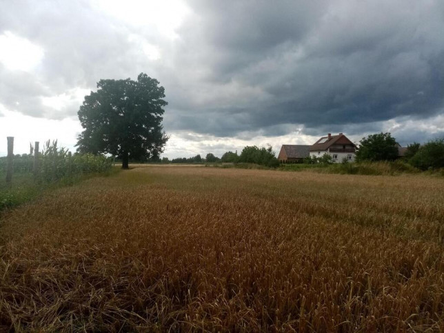 Działka Sprzedaż Kępa 1
