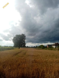Dom Sprzedaż Kępa Opolska