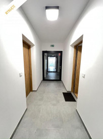 Mieszkanie Wynajem Opole