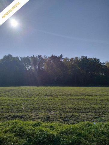 Działka Sprzedaż Ziemiełowice 1