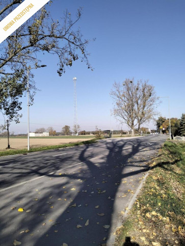 Działka Sprzedaż Ziemiełowice 5