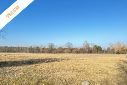 Działka Sprzedaż Popielów