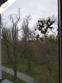 Mieszkanie Sprzedaż Opole