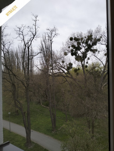 Mieszkanie Sprzedaż Opole 23