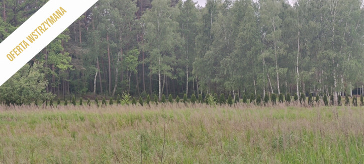 Działka Sprzedaż Szydłów Opolska 10