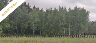 Działka Sprzedaż Szydłów Opolska
